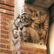 Illustration for article titled A Menagerie of Church Gargoyles Includes Aliens and Astronauts